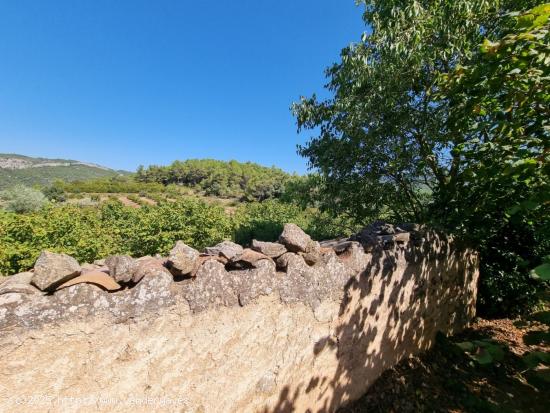  Fincas Rústicas en tivissa con construcción - TARRAGONA 