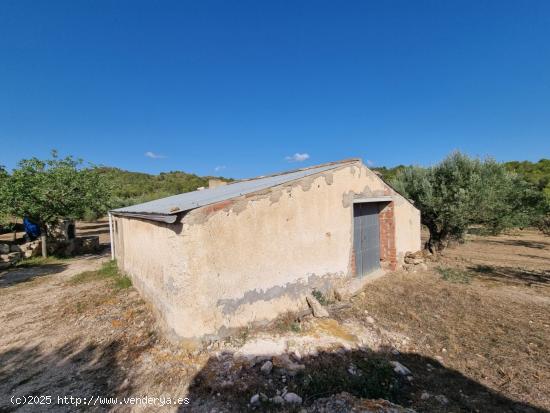  Tenemos en la zona de Tivissa un Almacen con muchas posibilidades - TARRAGONA 