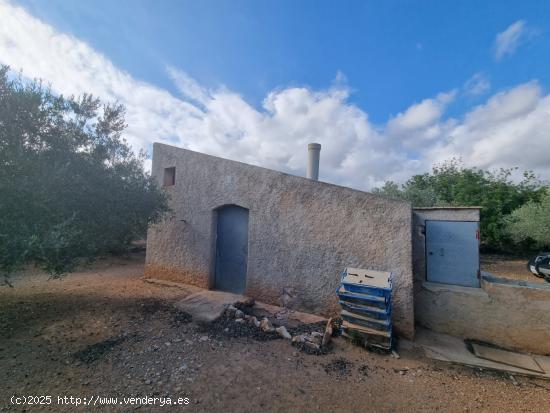  Finca Rústica con Caseta y cisterna de agua - TARRAGONA 