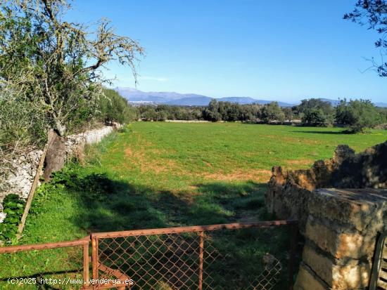 FINCA RÚSTICA PERFECTA PARA CONSTRUIR - BALEARES