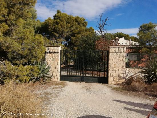  FINCA RUSTICA EN ZONA FABRAQUER - ALICANTE 