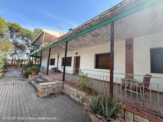 FINCA RUSTICA EN ZONA FABRAQUER - ALICANTE