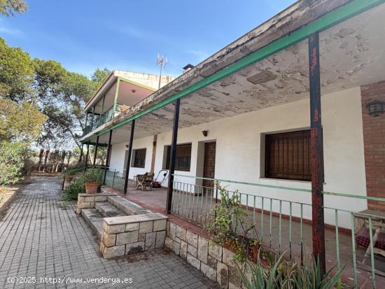 FINCA RUSTICA EN ZONA FABRAQUER - ALICANTE