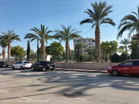 TERRENO URBANO EN CALLOSA DE SEGURA - ALICANTE