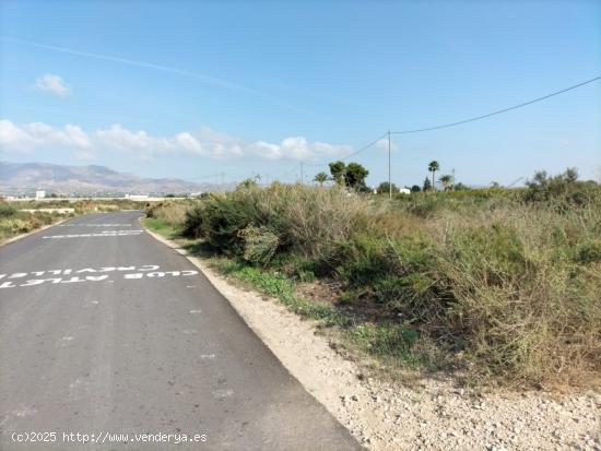  TIERRA RUSTICA EN CREVILLENT - ALICANTE 