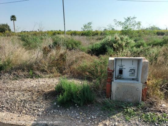 TIERRA RUSTICA EN CREVILLENT - ALICANTE