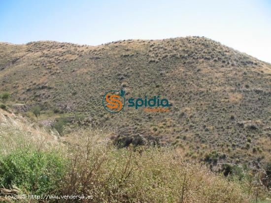 Parcela de 3Ha en pueblo de Goñar, cerca de Lorca y Pto Lumbreras con vistas panorámicas - ALMERIA