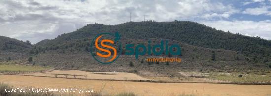  Parcela de 2Ha y 39 Áreas con vistas panorámicas a almendros y montañas - MURCIA 