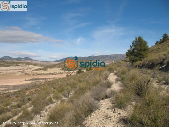 Parcela de 2Ha y 39 Áreas con vistas panorámicas a almendros y montañas - MURCIA