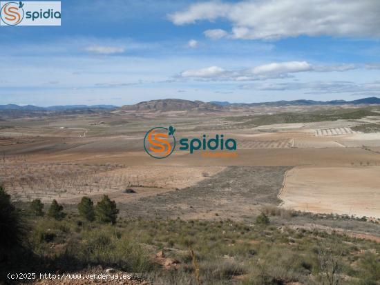 Parcela de 2Ha y 39 Áreas con vistas panorámicas a almendros y montañas - MURCIA