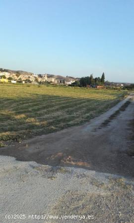  SE VENDE PARCELA EN TORREALTA - MURCIA 