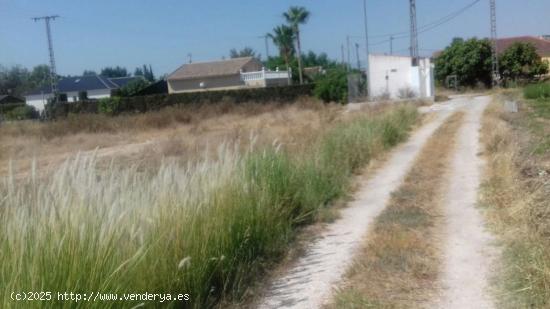 SE VENDE PARCELA RÚSTICA EN MOLINA DE SEGURA - MURCIA