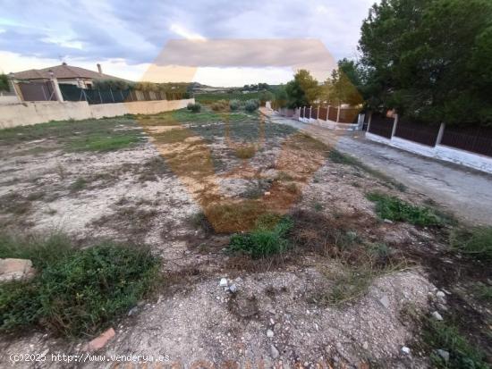 SE VENDE PARCELA EN EL ROMERAL DE MOLINA DE SEGURA - MURCIA