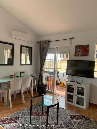 APARTAMENTO EN ALQUILER - ALICANTE