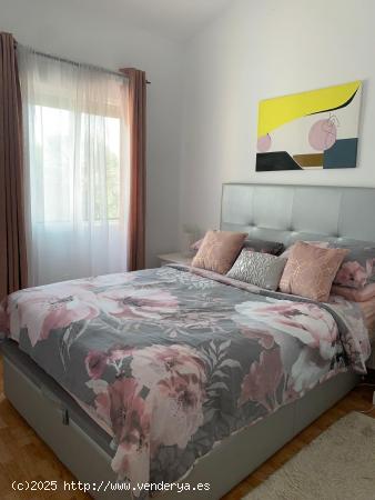 APARTAMENTO EN ALQUILER - ALICANTE