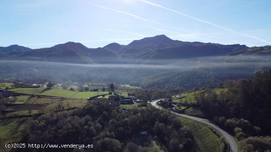 Gran superficie de terreno edificable con casa y hórreo en Gamoneu (Nava) - ASTURIAS