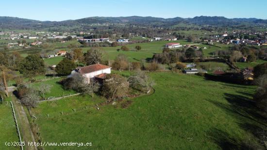 Gran superficie de terreno edificable con casa y hórreo en Gamoneu (Nava) - ASTURIAS