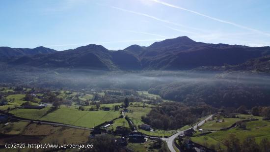 Gran superficie de terreno edificable con casa y hórreo en Gamoneu (Nava) - ASTURIAS