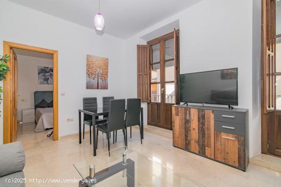 Apartamento céntrico en Granada Capital - GRANADA