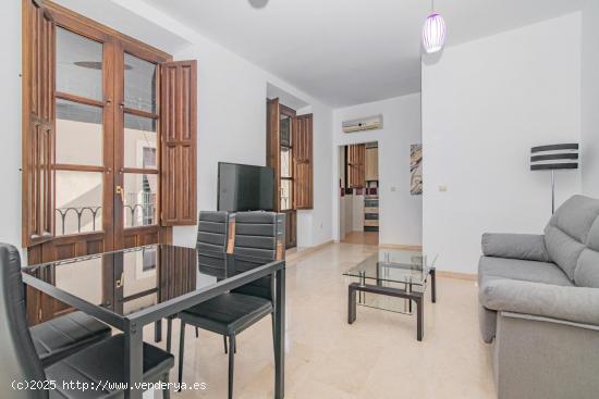 Apartamento céntrico en Granada Capital - GRANADA