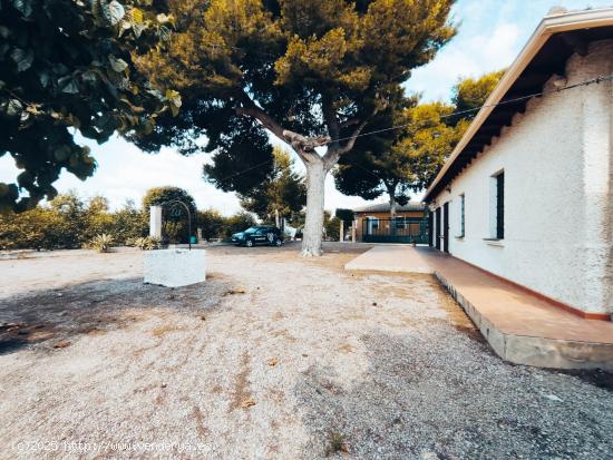 Maravillosa casa con terreno en Daya Nueva a escasos 10 minutos de la costa Alicantina. - ALICANTE