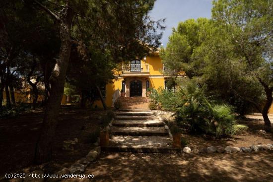 MANSION EN CIUDAD QUESADA-LO PEPIN - ALICANTE