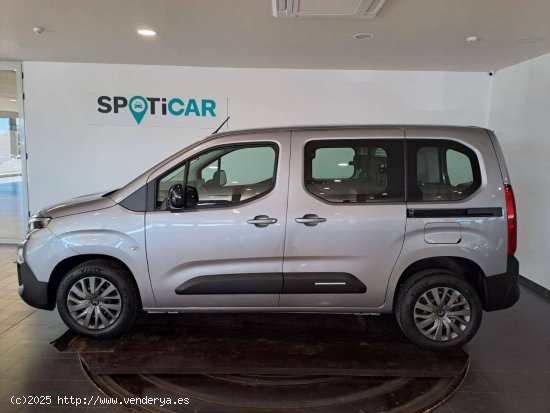 Citroën Berlingo  Talla M BlueHDi 100 - - CIUDAD REAL