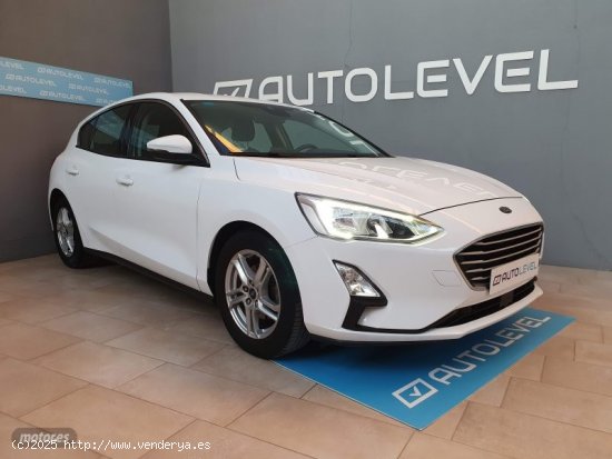  Ford Focus 1.5 Ecoblue 120cv Trend+ de 2019 con 72.000 Km por 15.990 EUR. en Valencia 