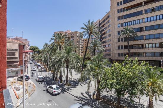 ALQUILER TEMPORAL EN PLENO CENTRO DE ELCHE EN EL PALACIO DE CONGRESOS - ALICANTE