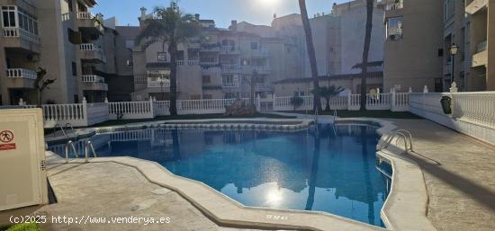  1 DORMITORIO , TOTALMENTE REFORMADO , PISCINA COMUNITARIA - ALICANTE 