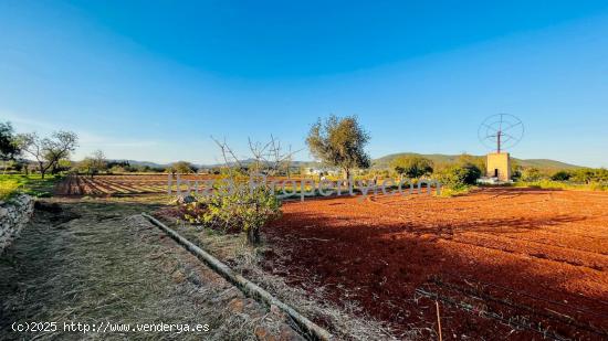 VENTA - Terreno rustico cerca de Santa Eulalia del Rio - BALEARES