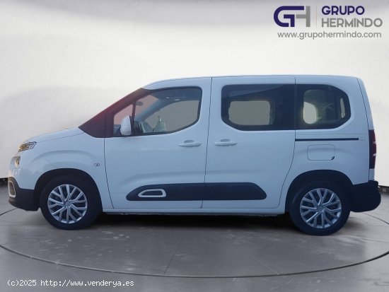 Citroën Berlingo TALLA M BLUE HDI 100 CV FEEL - Ponteareas