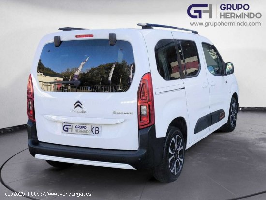 Citroën Berlingo TALLA M BLUE HDI 100 CV SHINE - Ponteareas