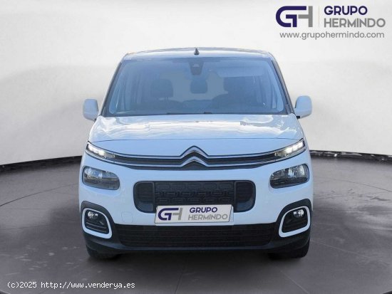 Citroën Berlingo TALLA M FEEL BLUE HDI 100 CV - Ponteareas