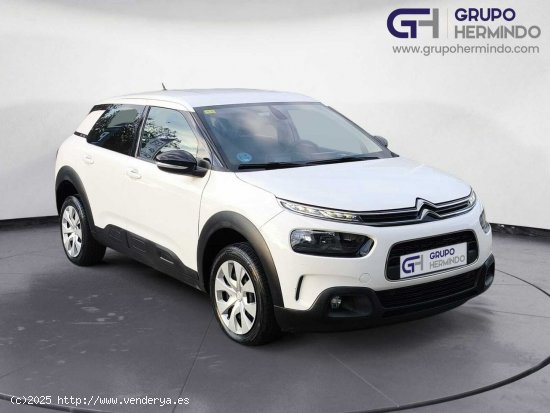  Citroën C4 Cactus BUSINESS BLUE HDI 100 CV - Ponteareas 