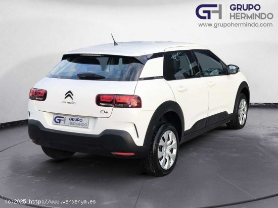 Citroën C4 Cactus BUSINESS BLUE HDI 100 CV - Ponteareas