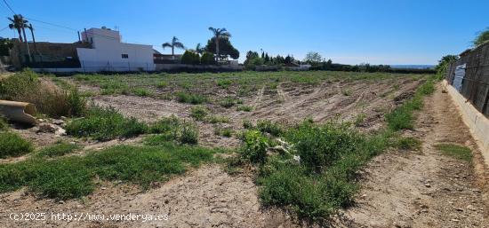 Terreno rústico en Huerta de Cobatillas - MURCIA