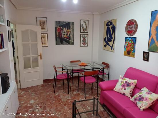 APARTAMENTO AMPLIO AMUEBLADO EN ALQUILER ZONA FERIA MOLINO - ALBACETE