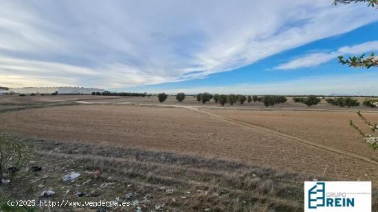  TERRENO URBANO DE 11.112 M2 EN CIEMPOZUELOS - MADRID 