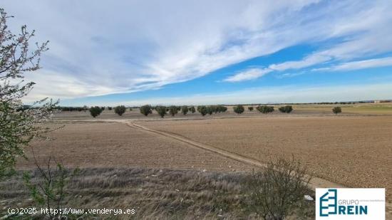 TERRENO URBANO DE 11.112 M2 EN CIEMPOZUELOS - MADRID