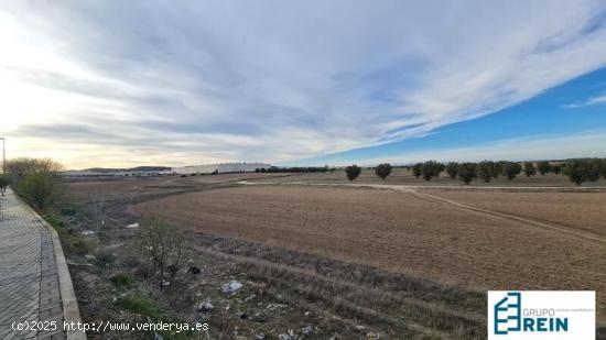 TERRENO URBANO DE 11.112 M2 EN CIEMPOZUELOS - MADRID