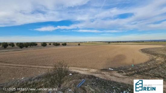 TERRENO URBANO DE 11.112 M2 EN CIEMPOZUELOS - MADRID