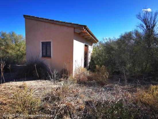  Finca rustica con casa de aperos - BALEARES 