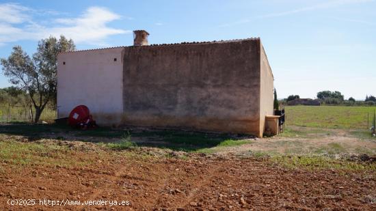 Finca rustica en venta en Binissalem - BALEARES