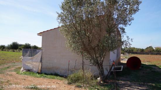 Finca rustica en venta en Binissalem - BALEARES