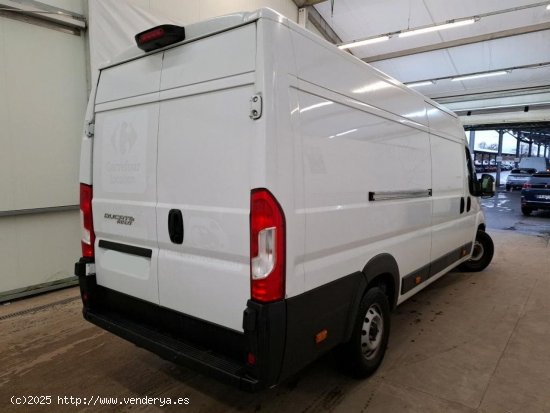 Fiat Ducato FG MAXI L4H2 2.3 MJET 140CV BUSINESS - Leioa