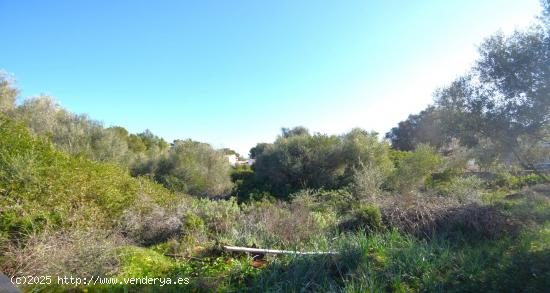 Solar  en Son Serra - BALEARES