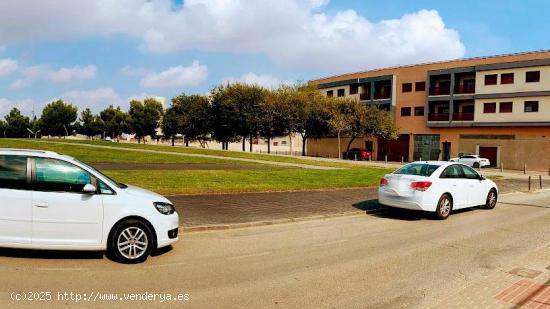 Local en Avenida LUIS MANZANARES, Torre-Pacheco - MURCIA