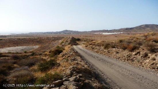 Parcela en Calle UD-ALQUERIAS, Murcia - MURCIA