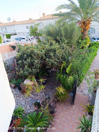 AMPLIO BUNGALOW EN PLANTA BAJA CON JARDÍN - ZONA LA REGIA - - ALICANTE